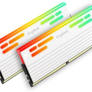 1 Kingbank Rams & SSDs